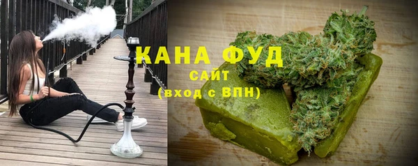 индика Снежинск